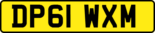 DP61WXM