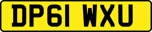 DP61WXU