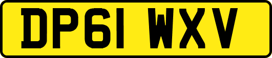 DP61WXV