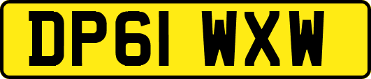 DP61WXW