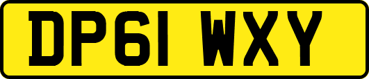 DP61WXY