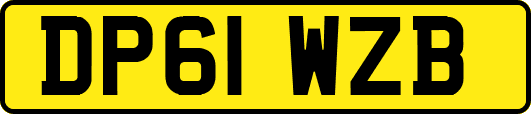 DP61WZB