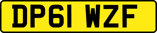 DP61WZF