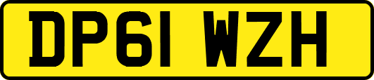 DP61WZH