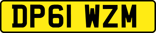 DP61WZM
