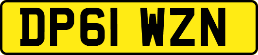 DP61WZN