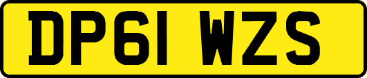 DP61WZS