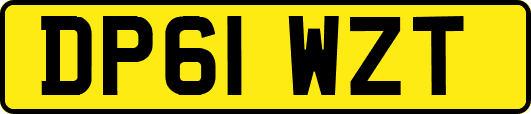 DP61WZT