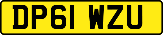 DP61WZU