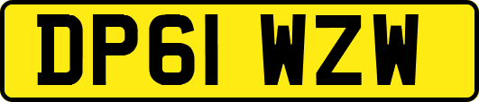 DP61WZW