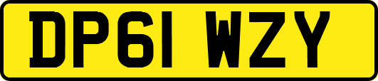 DP61WZY