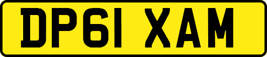 DP61XAM