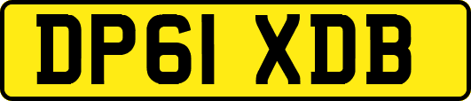 DP61XDB