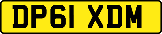 DP61XDM