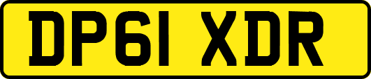 DP61XDR