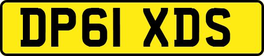 DP61XDS