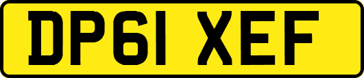 DP61XEF