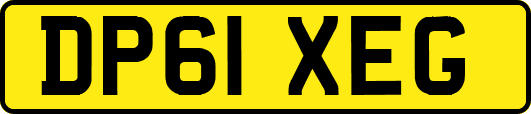 DP61XEG