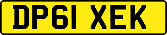 DP61XEK