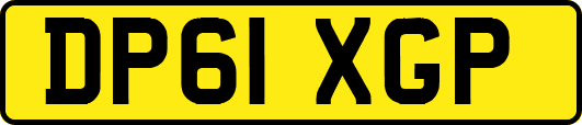 DP61XGP