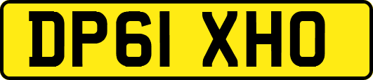 DP61XHO