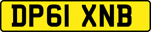 DP61XNB