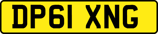 DP61XNG