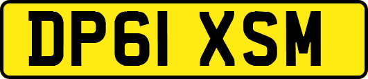 DP61XSM