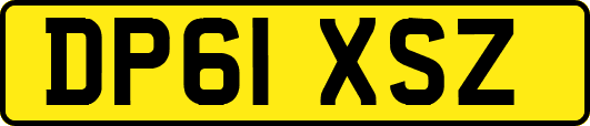 DP61XSZ