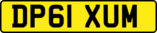 DP61XUM