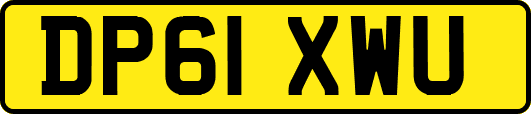 DP61XWU