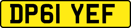 DP61YEF