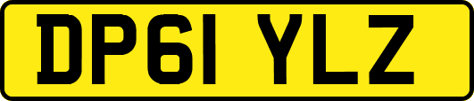 DP61YLZ