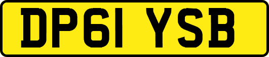 DP61YSB