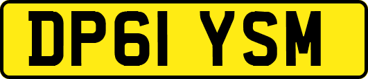 DP61YSM