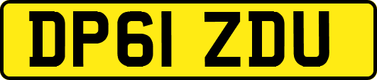 DP61ZDU