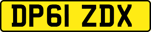DP61ZDX