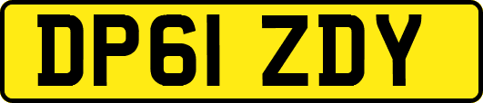 DP61ZDY