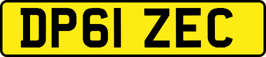 DP61ZEC