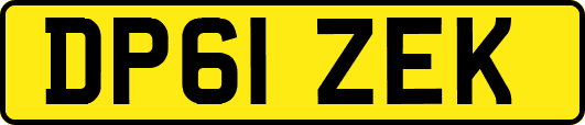 DP61ZEK