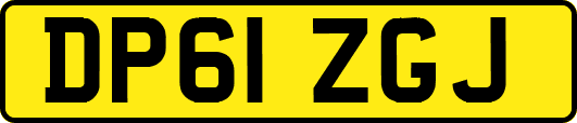 DP61ZGJ