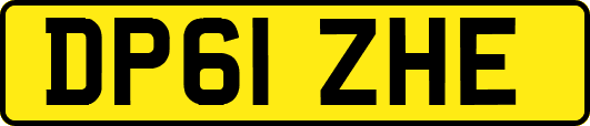 DP61ZHE