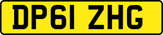 DP61ZHG