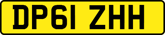 DP61ZHH