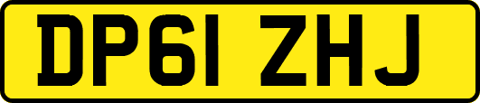 DP61ZHJ