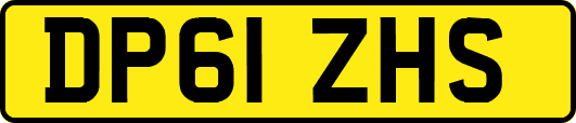 DP61ZHS