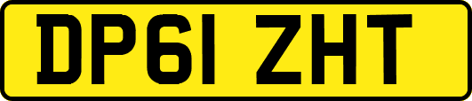 DP61ZHT
