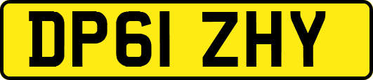 DP61ZHY