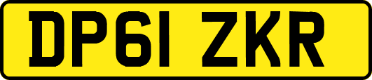 DP61ZKR