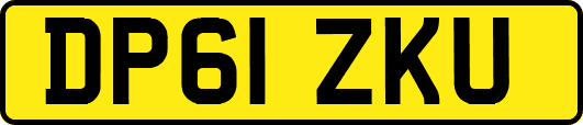 DP61ZKU